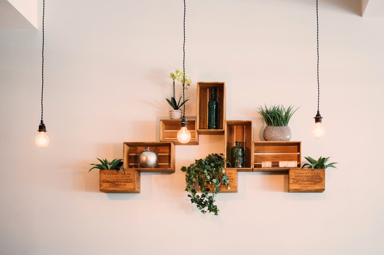 Offerings Contemporary wooden shelves with plants and decor, illuminated by hanging lights.